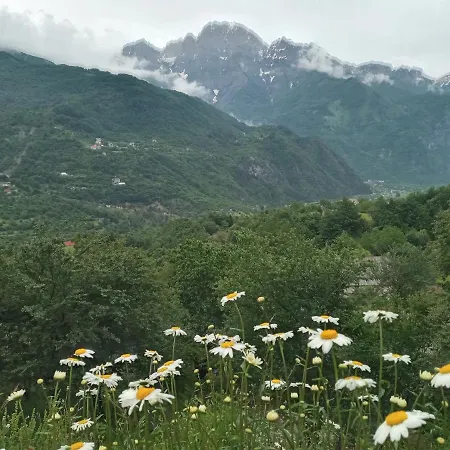 Casa de hóspedes Kroni I Micanit Theth