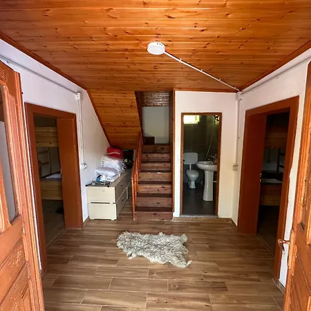 Kroni I Micanit Casa de hóspedes *