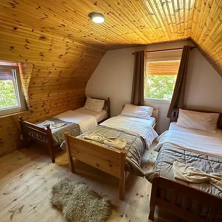 Casa de hóspedes Kroni I Micanit Theth