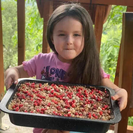 Kroni I Micanit Pensionat Theth