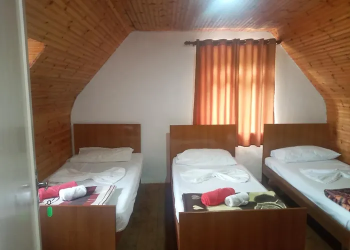 Kroni I Micanit