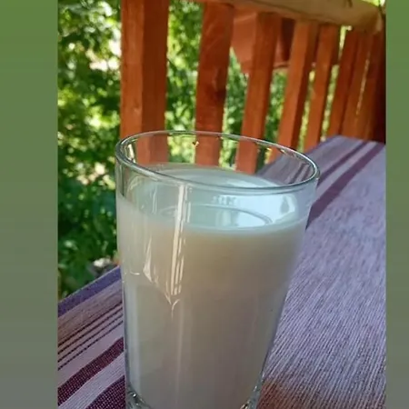 招待所 Kroni I Micanit 泰斯