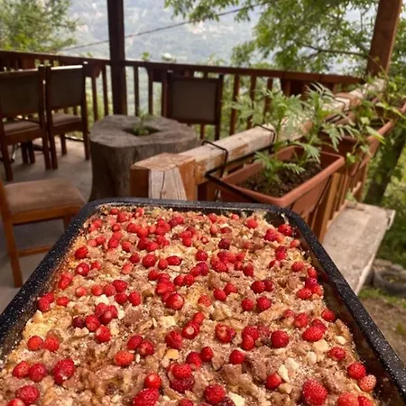 Kroni I Micanit 招待所 泰斯